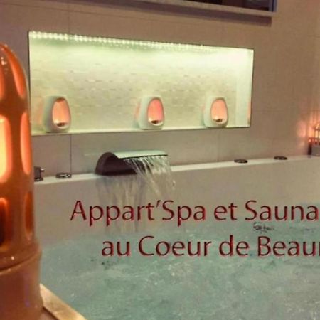 Appart' Spa Et Sauna Privatif Au Coeur De Beaune Luaran gambar