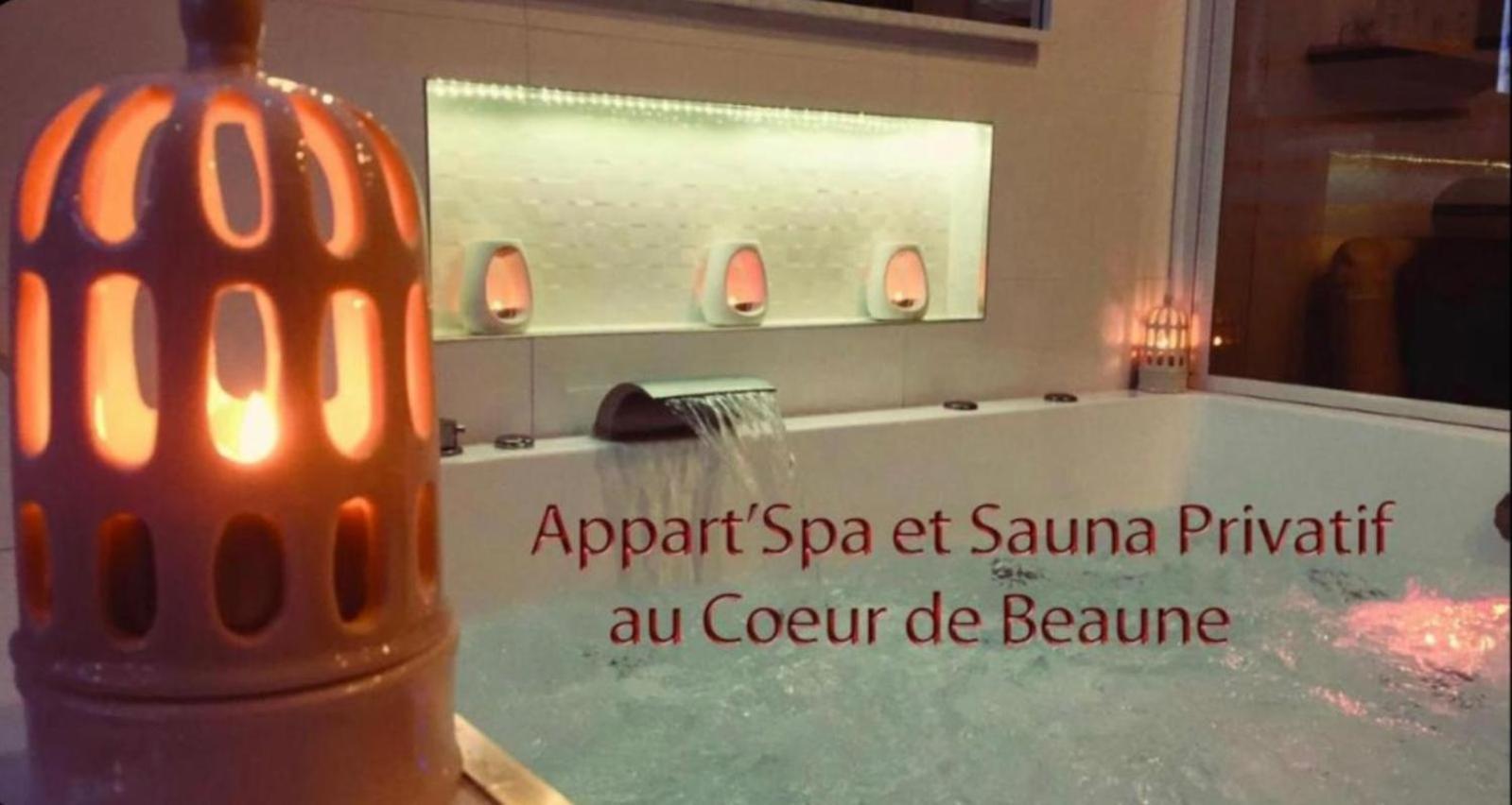 Appart' Spa Et Sauna Privatif Au Coeur De Beaune Luaran gambar